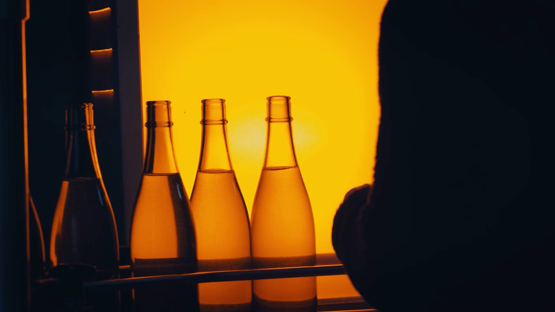 Sake placed in the dark