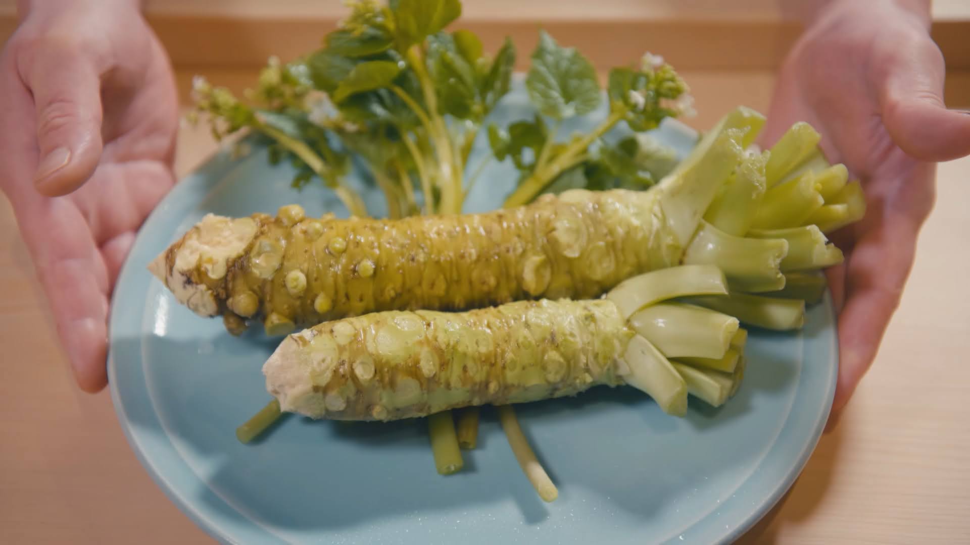 Image of Wasabi, a specialty of Nagano Prefecture